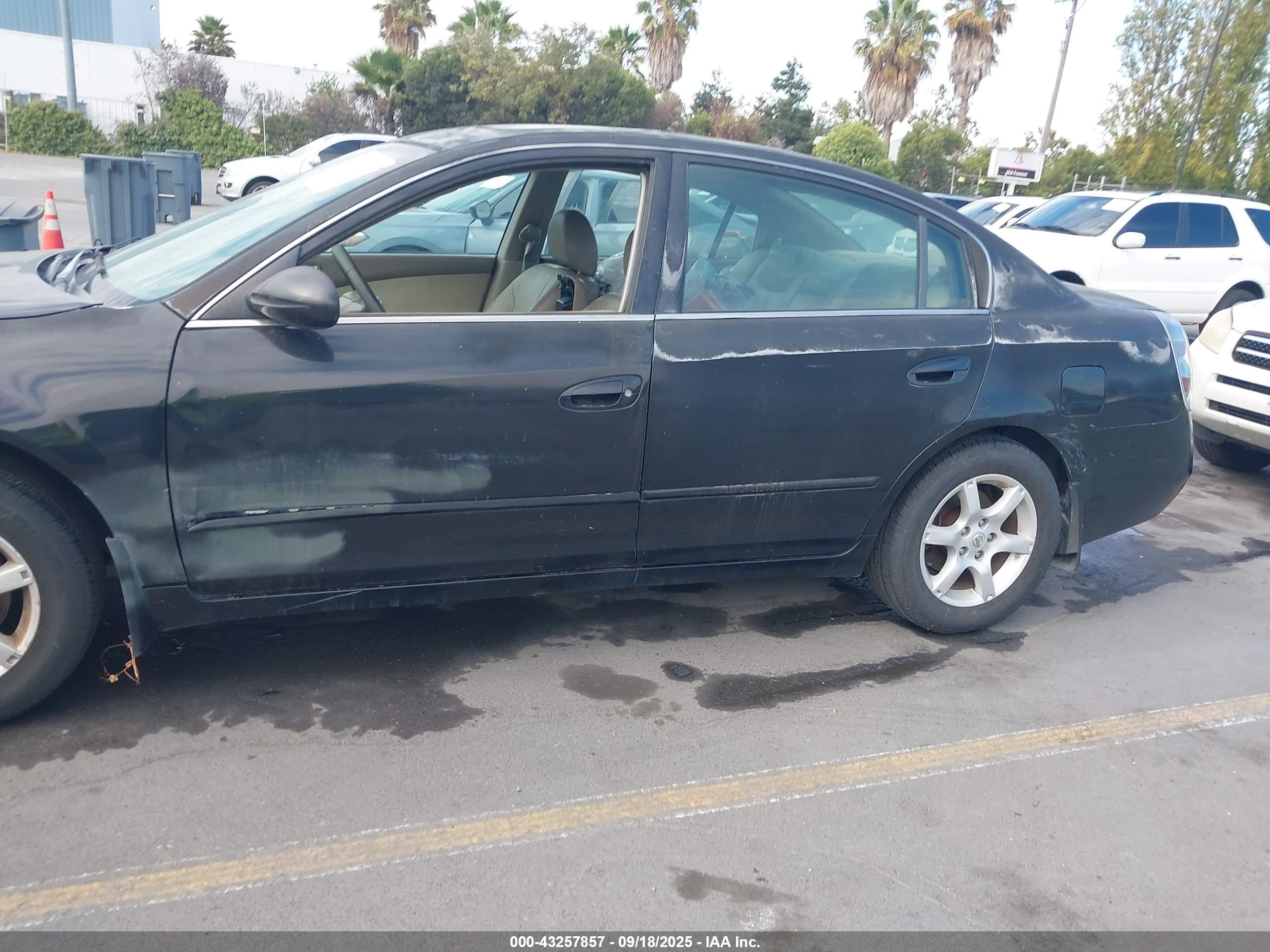 2006 Nissan Altima 3.5 Sl Black vin: 1N4BL11D36C239806