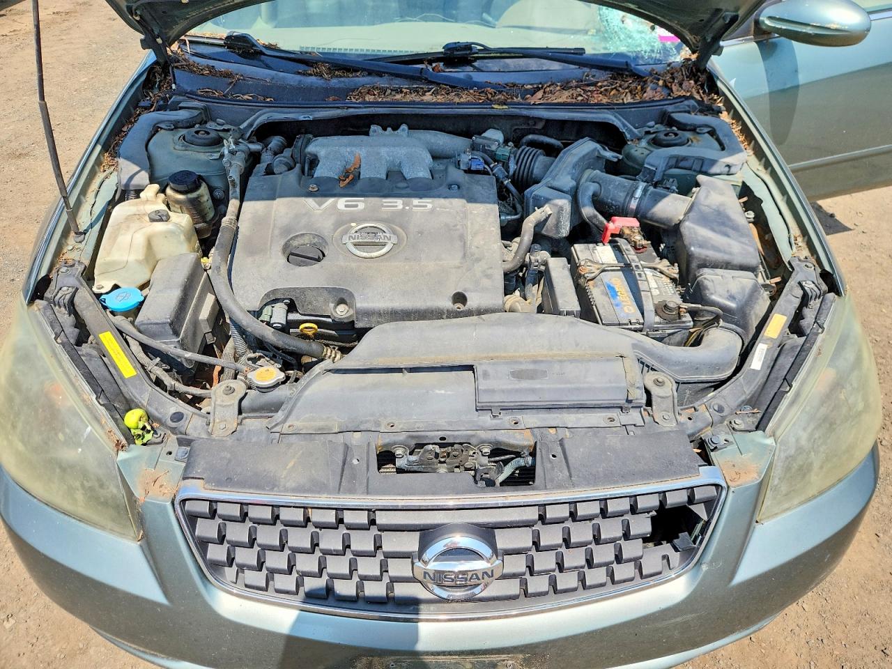 2006 Nissan Altima 3.5 Se Зеленый vin: 1N4BL11D36N423888