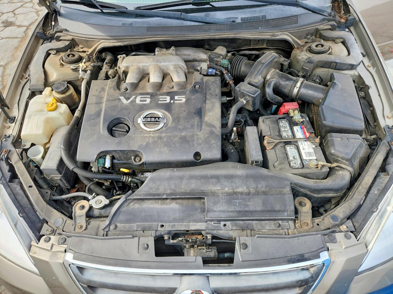 2004 Nissan Alitma Gold vin: 1N4BL11D44C168287