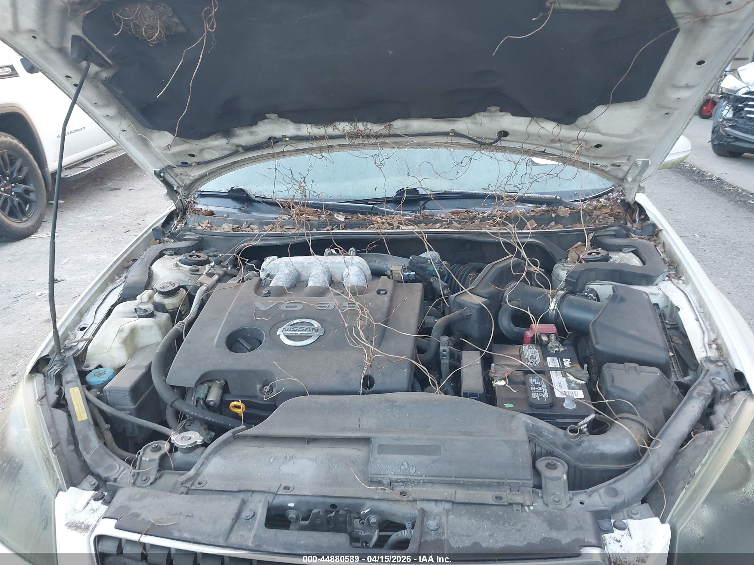 2005 Nissan Altima 3.5 Se White vin: 1N4BL11D85C175146