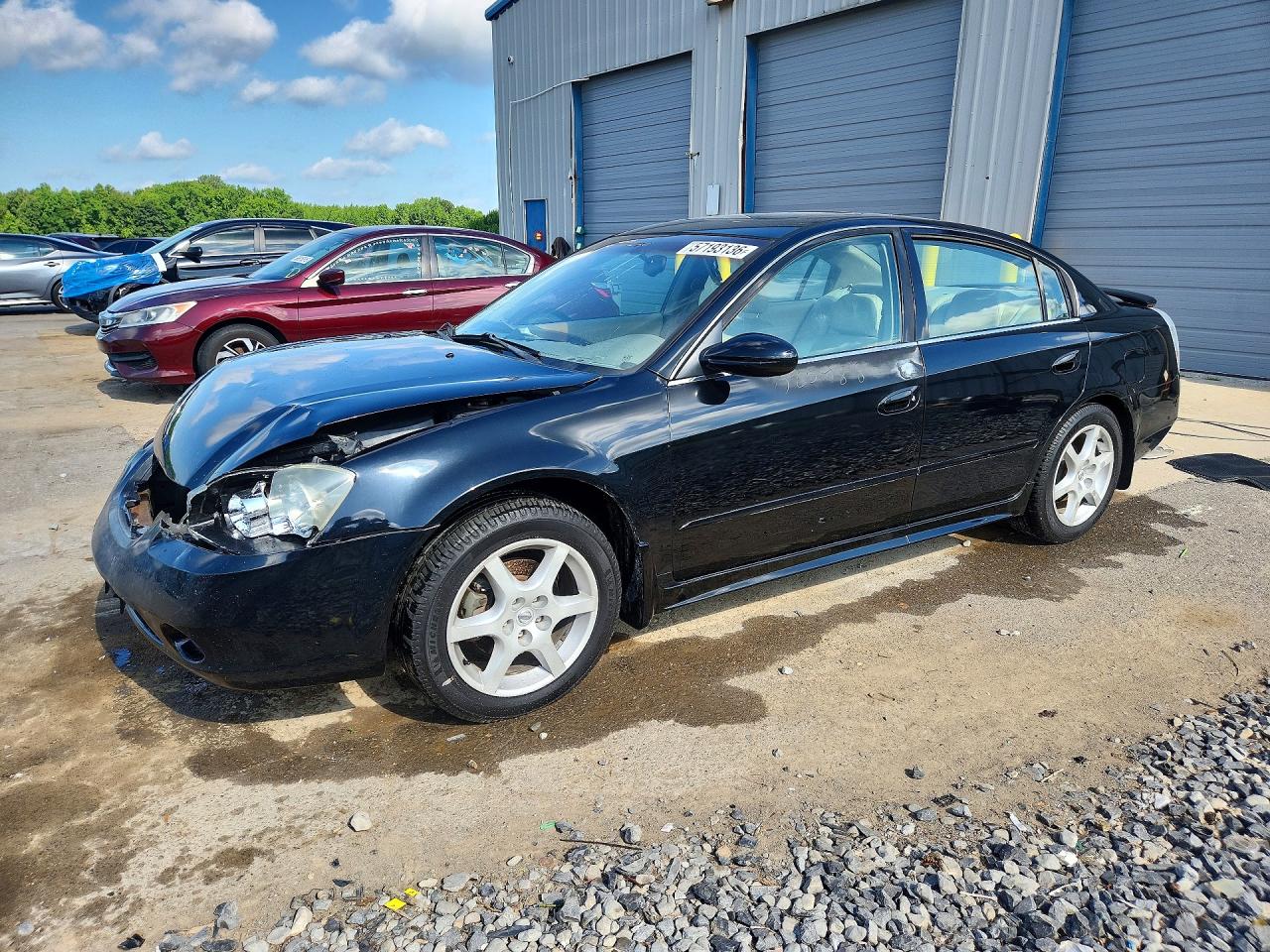 2003 Nissan Altima Se Black vin: 1N4BL11E13C288362