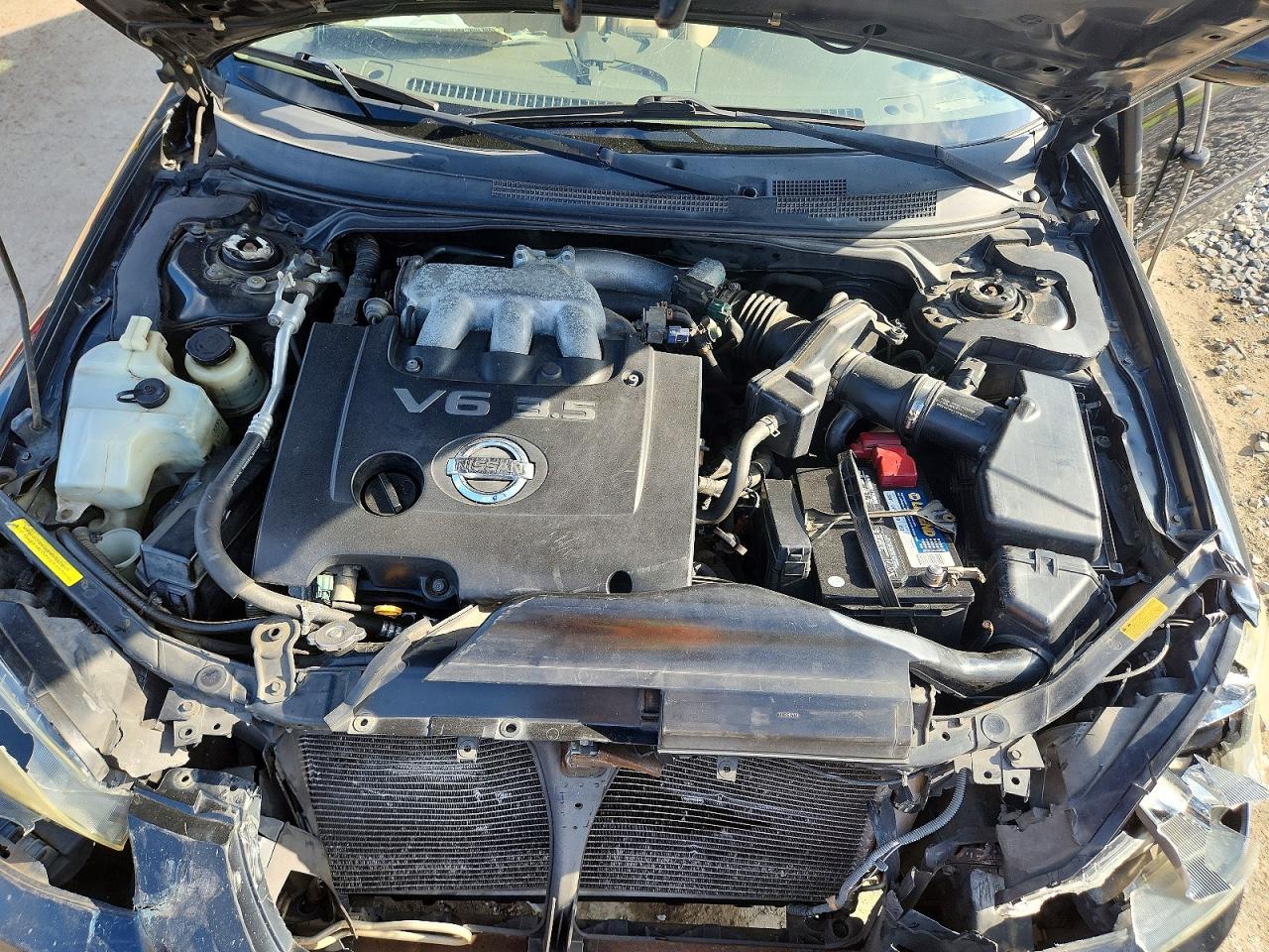 2003 Nissan Altima Se Black vin: 1N4BL11E13C288362