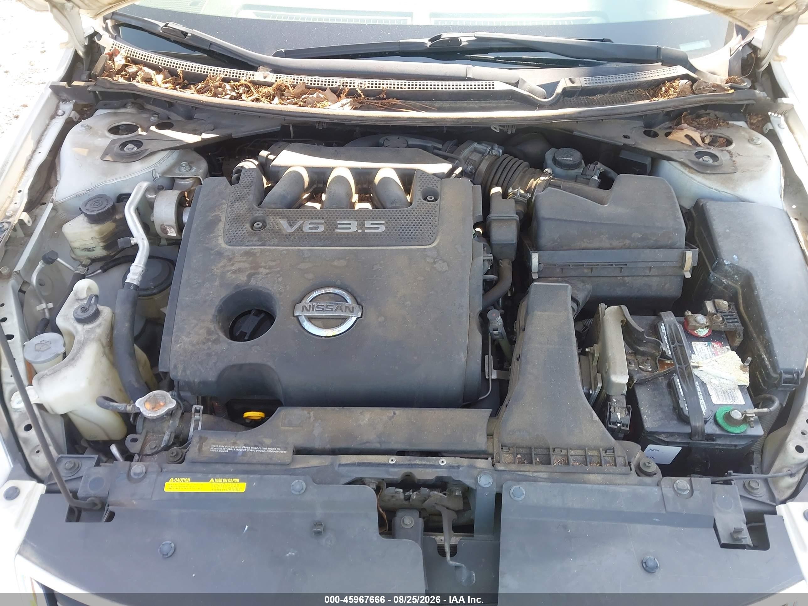 2011 Nissan Altima 3.5 Sr Белый vin: 1N4BL2AP2BN420765