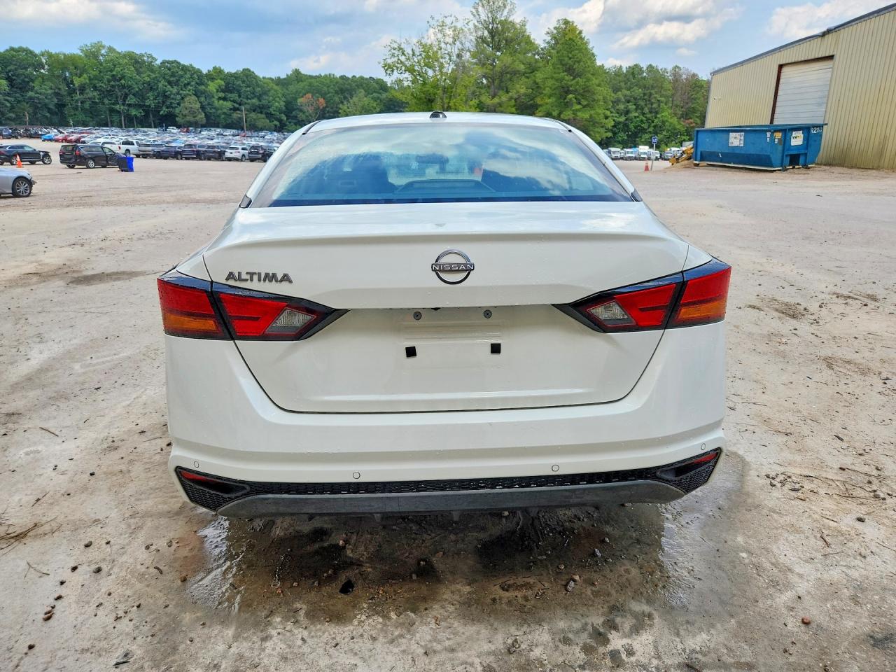 2026 Nissan Altima Sv White vin: 1N4BL4DV1TN312550