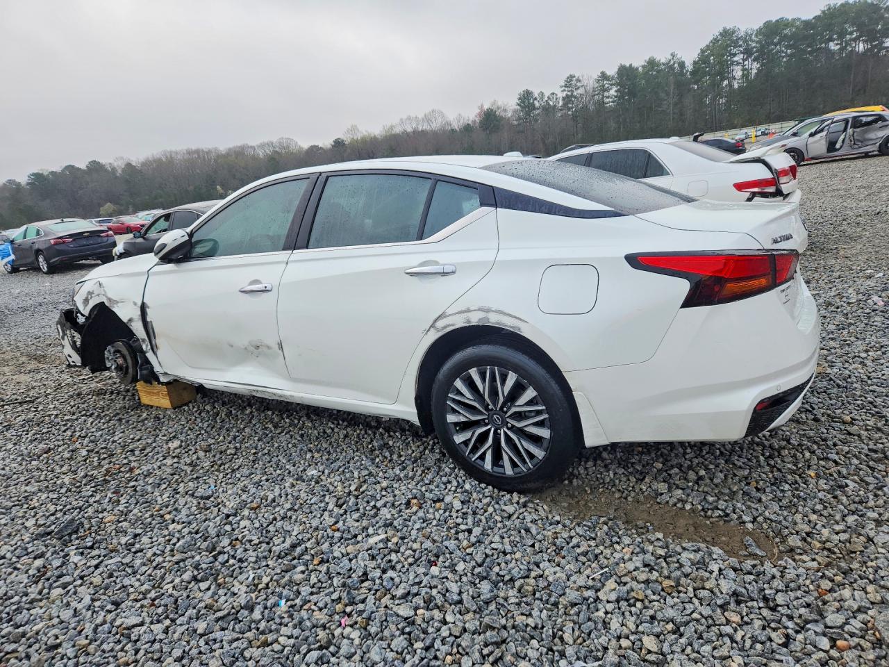 2024 Nissan Altima 2.5 Sv White vin: 1N4BL4DV6RN315677