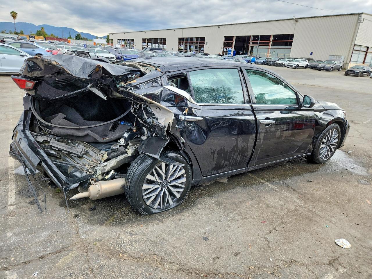 2025 Nissan Altima Sv Black vin: 1N4BL4DV6SN352069