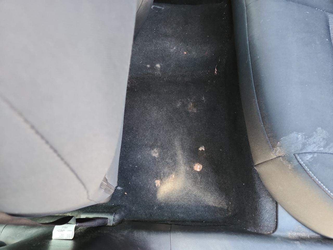 2024 Nissan Altima Sv Red vin: 1N4BL4DV7RN398505 Damage: Left Rear Carpet, Stained, Permanent