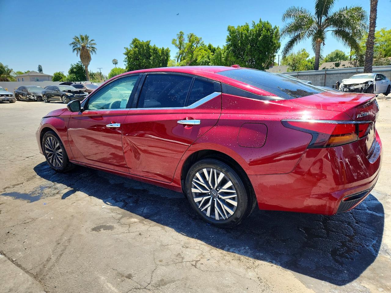 2024 Nissan Altima Sv Red vin: 1N4BL4DV7RN398505