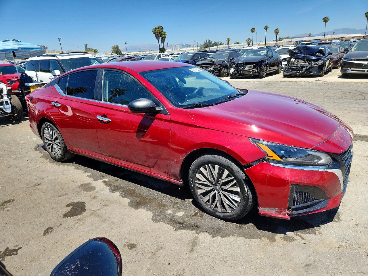 2024 Nissan Altima Sv Red vin: 1N4BL4DV7RN398505