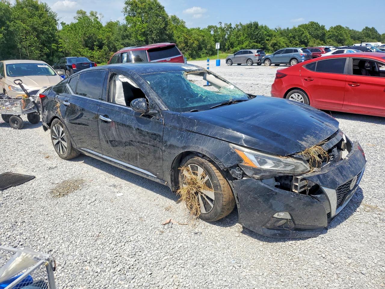 2019 Nissan Altima Sl Black vin: 1N4BL4EV7KC171802