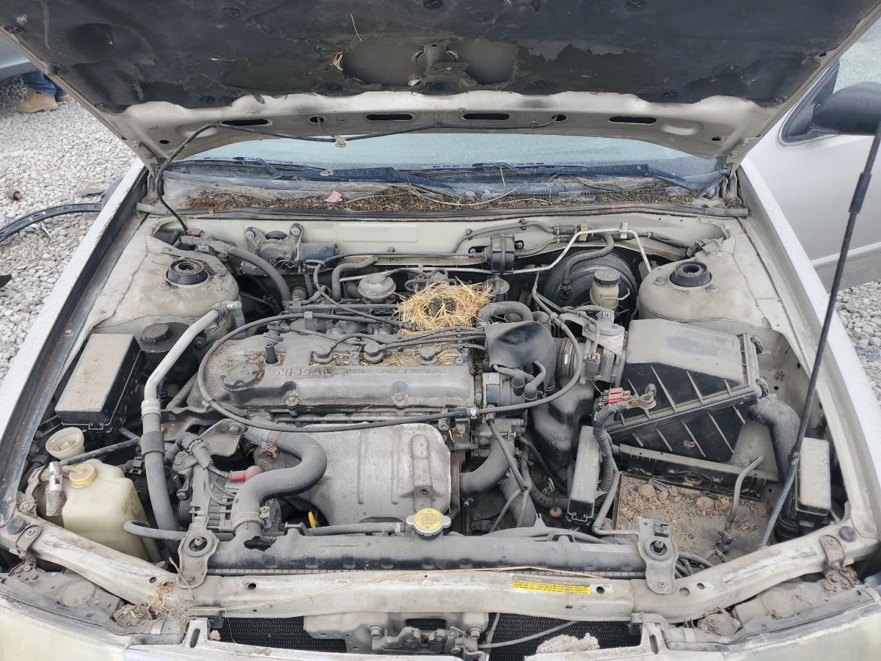 1995 Nissan Altima Xe Серебряный vin: 1N4BU31D5SC184567