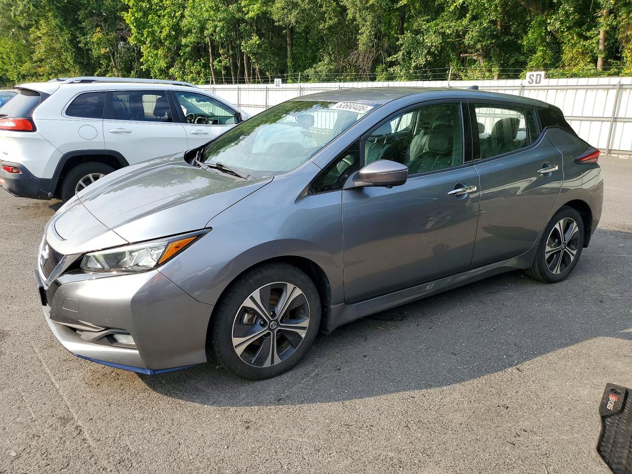 2020 Nissan Leaf Sl Plus Серый vin: 1N4BZ1DP7LC311493