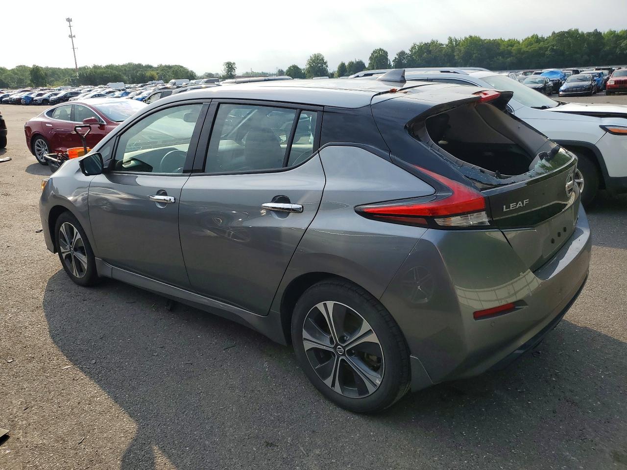 2020 Nissan Leaf Sl Plus Gray vin: 1N4BZ1DP7LC311493
