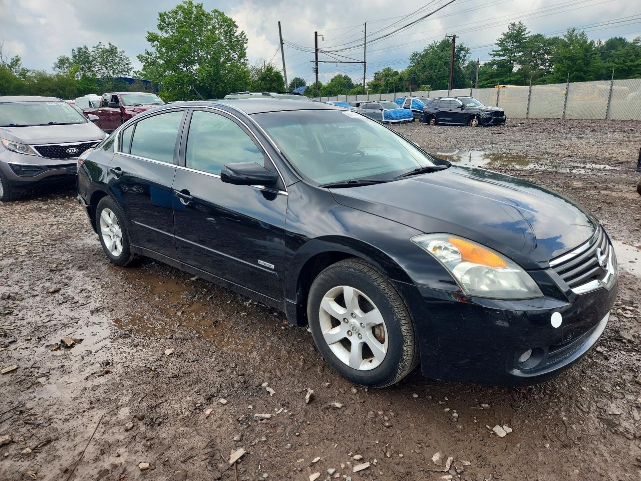2009 Nissan Altima Hybrid Black vin: 1N4CL21E69C142428