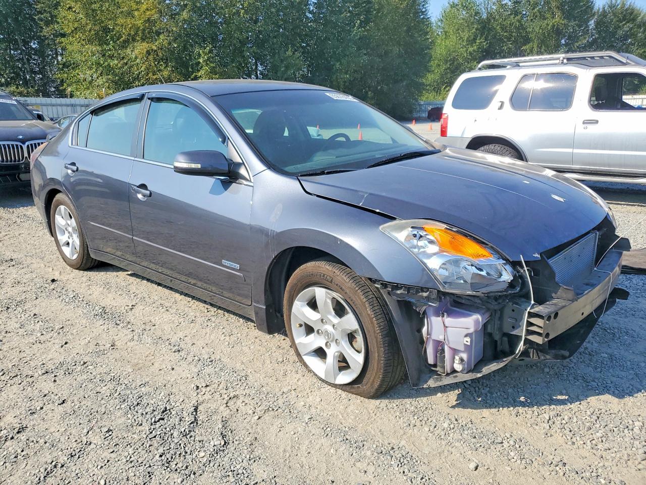 2009 Nissan Altima Hybrid Gray vin: 1N4CL21E99C179411