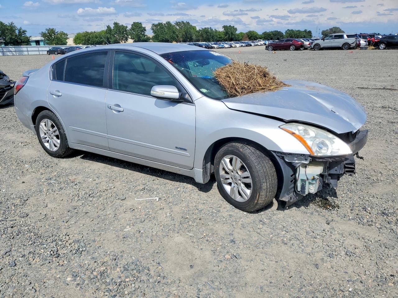 2010 Nissan Altima Hybrid Gray vin: 1N4CL2AP8AC158829