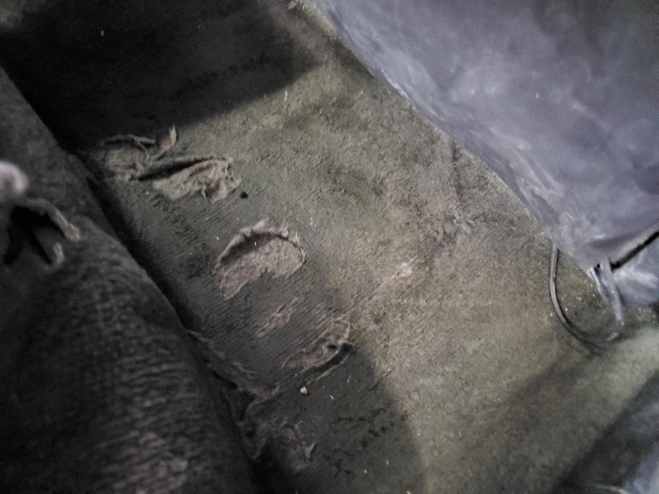 2011 Nissan Altima White vin: 1N4CL2AP9BC124805 Damage: Right Rear Carpet, Torn, > 12 Inches