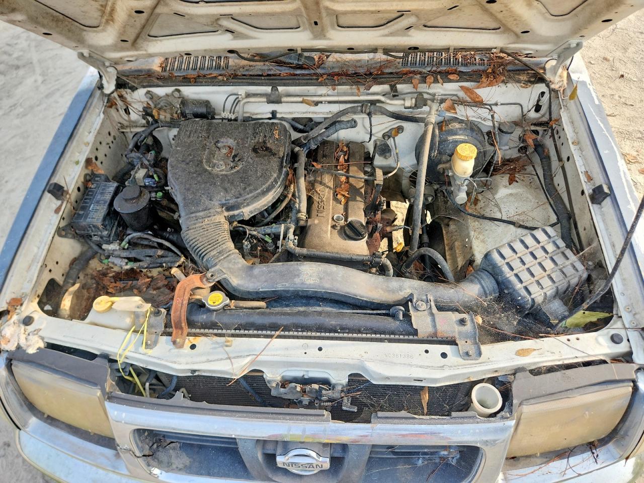 1998 Nissan Frontier Xe White vin: 1N6DD26S1WC381386