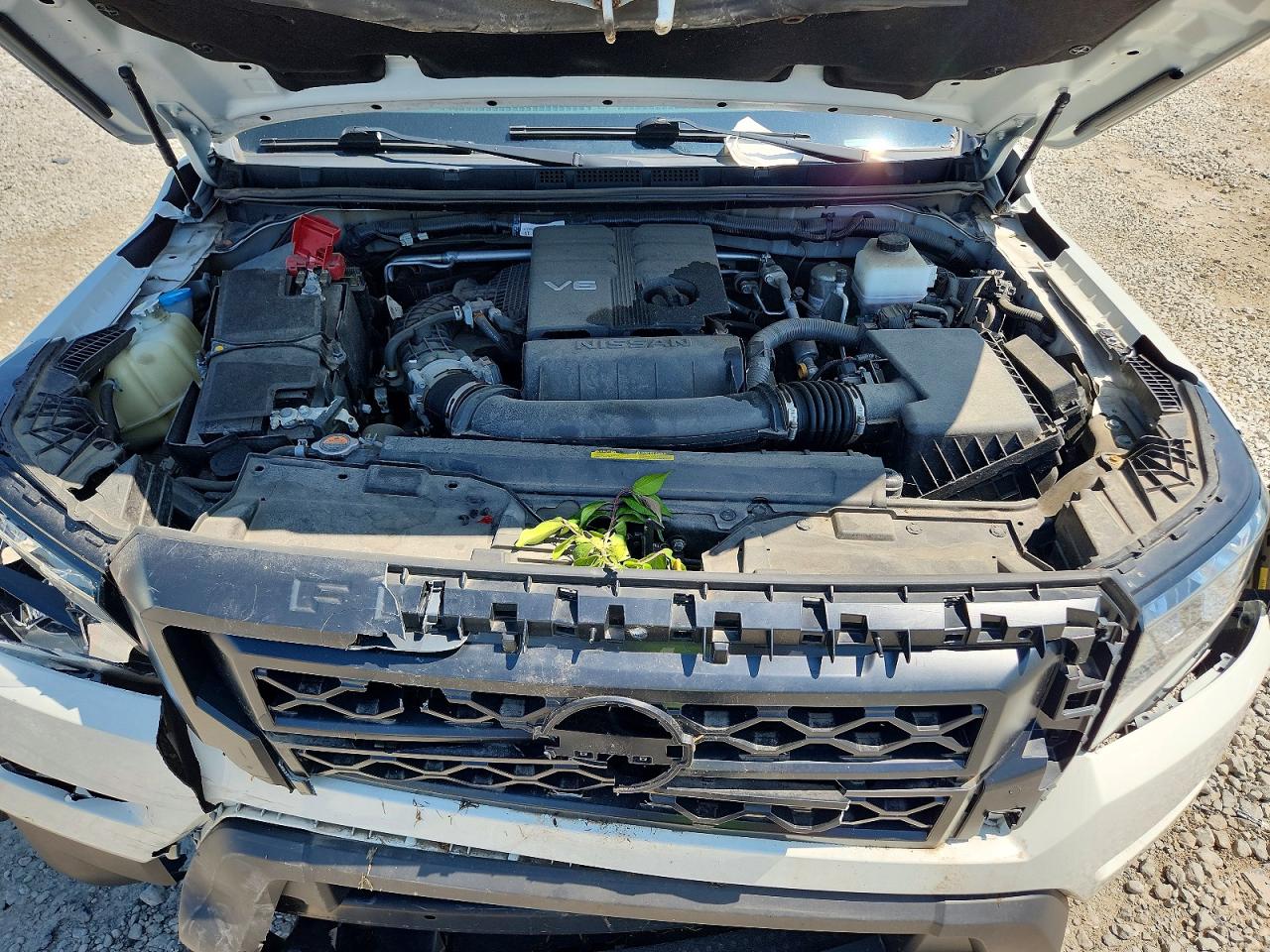 2023 Nissan Frontier S White vin: 1N6ED1CL3PN658119