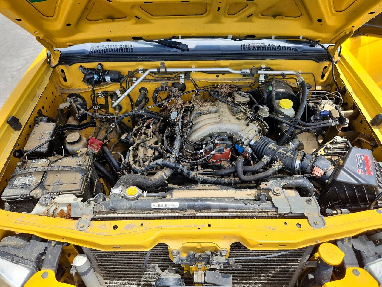 2004 Nissan Frontier Crew Cab Xe V6 Yellow vin: 1N6ED27Y84C446125