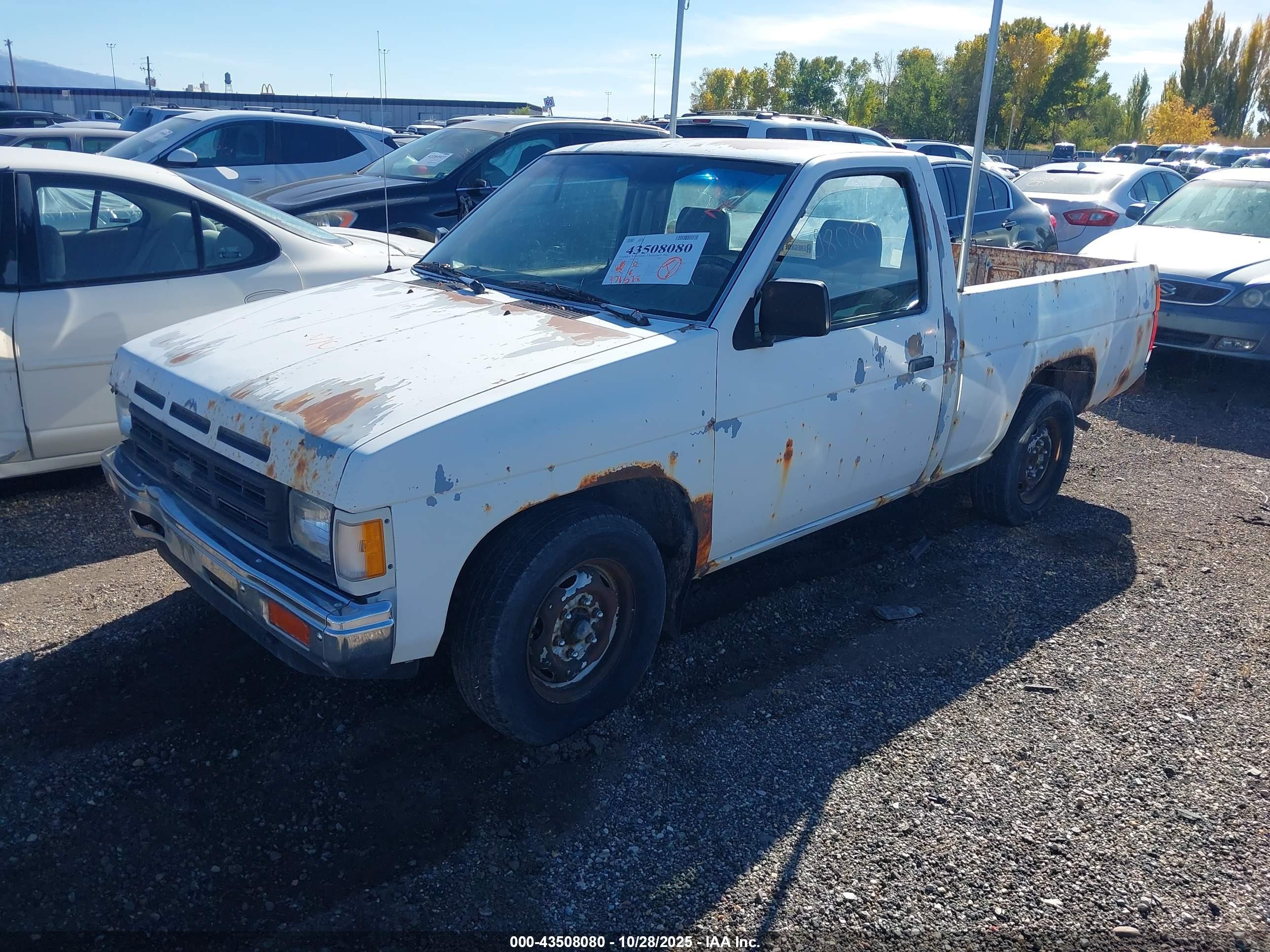 1990 Nissan D21 Short Bed White vin: 1N6SD11S4LC350539