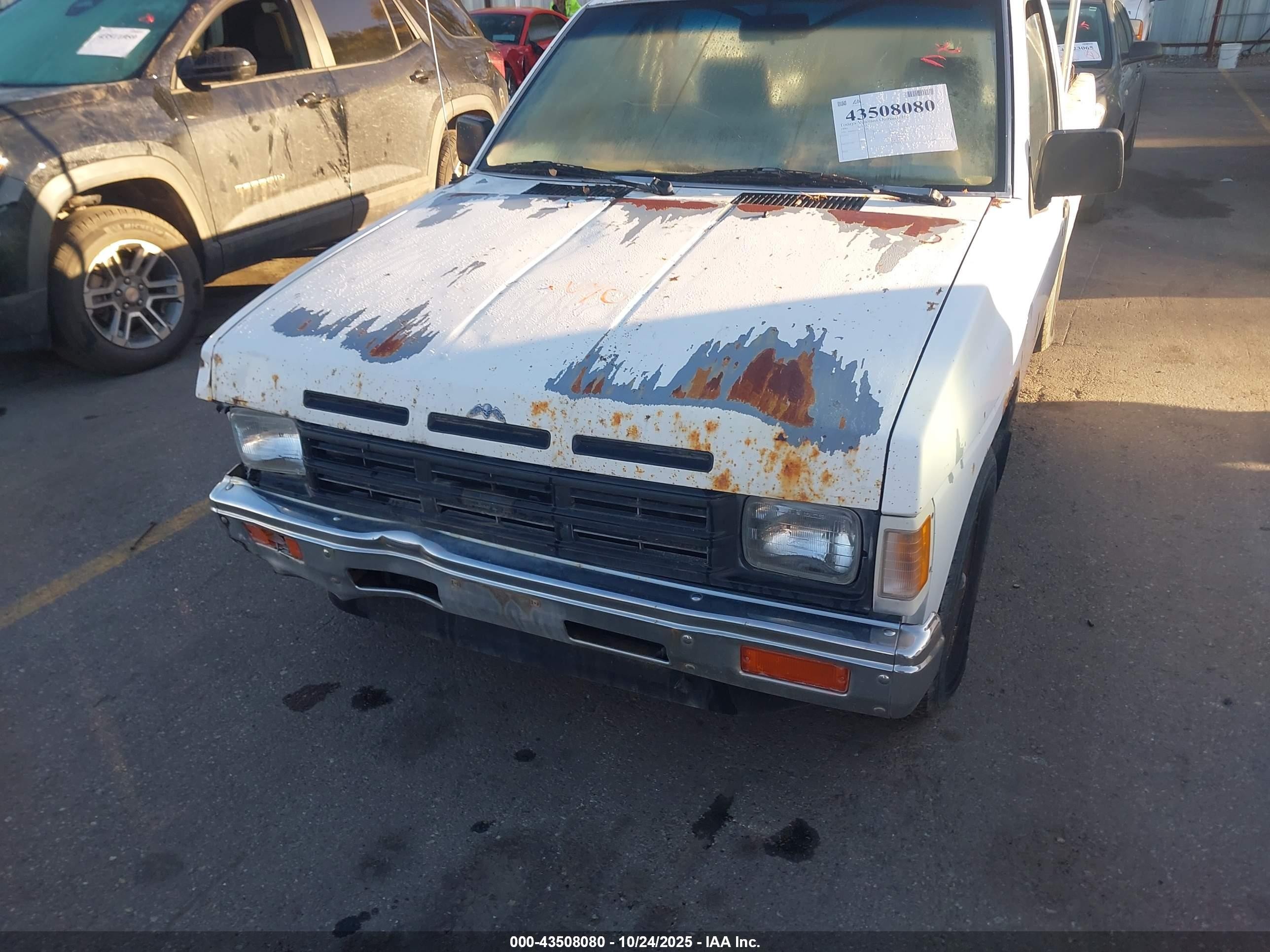 1990 Nissan D21 Short Bed White vin: 1N6SD11S4LC350539