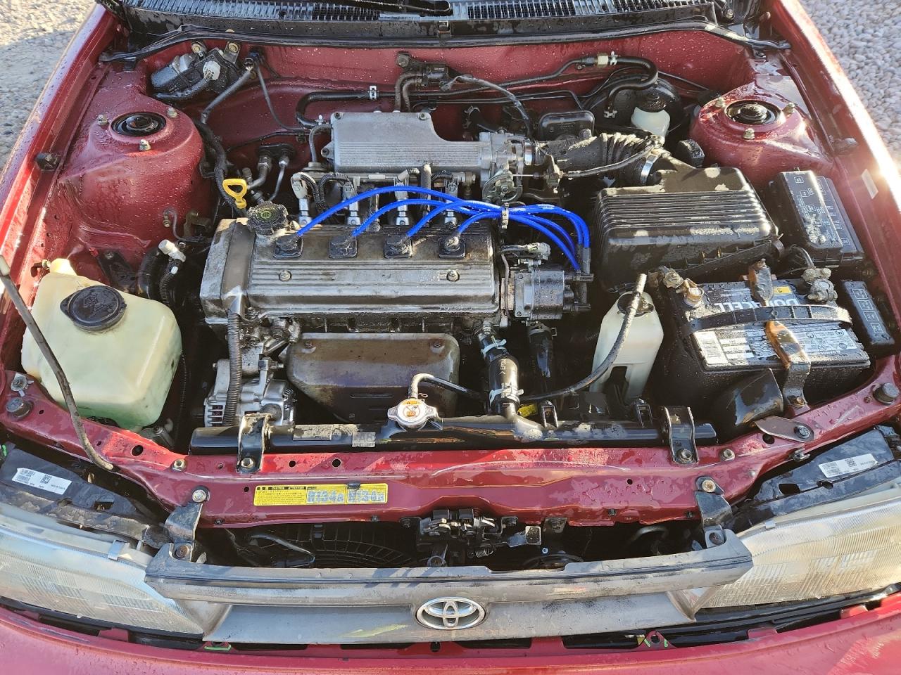 1995 Toyota Corolla Red vin: 1NXAE04BXSZ278557