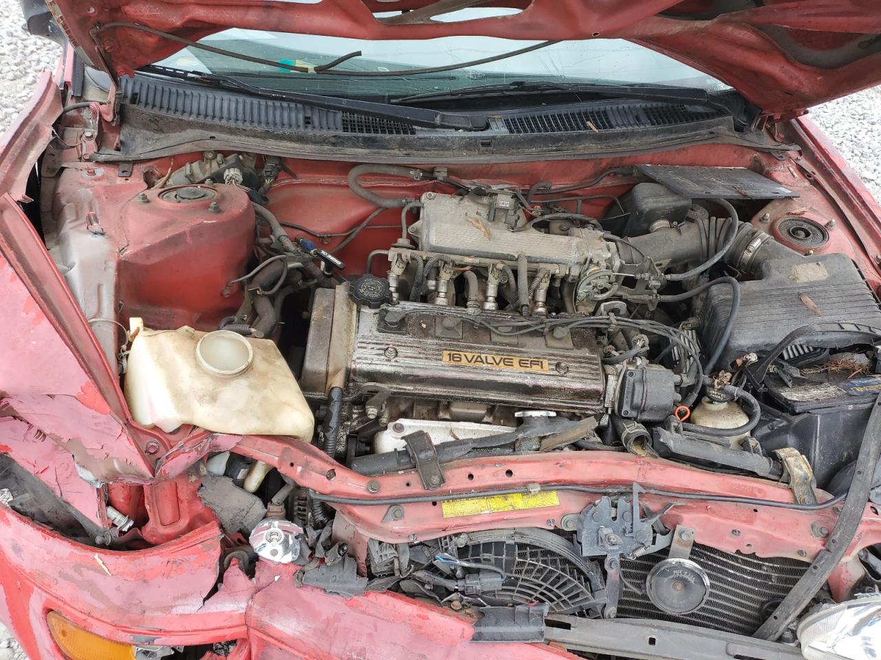 1993 Toyota Corolla Красный vin: 1NXAE04E9PZ090808