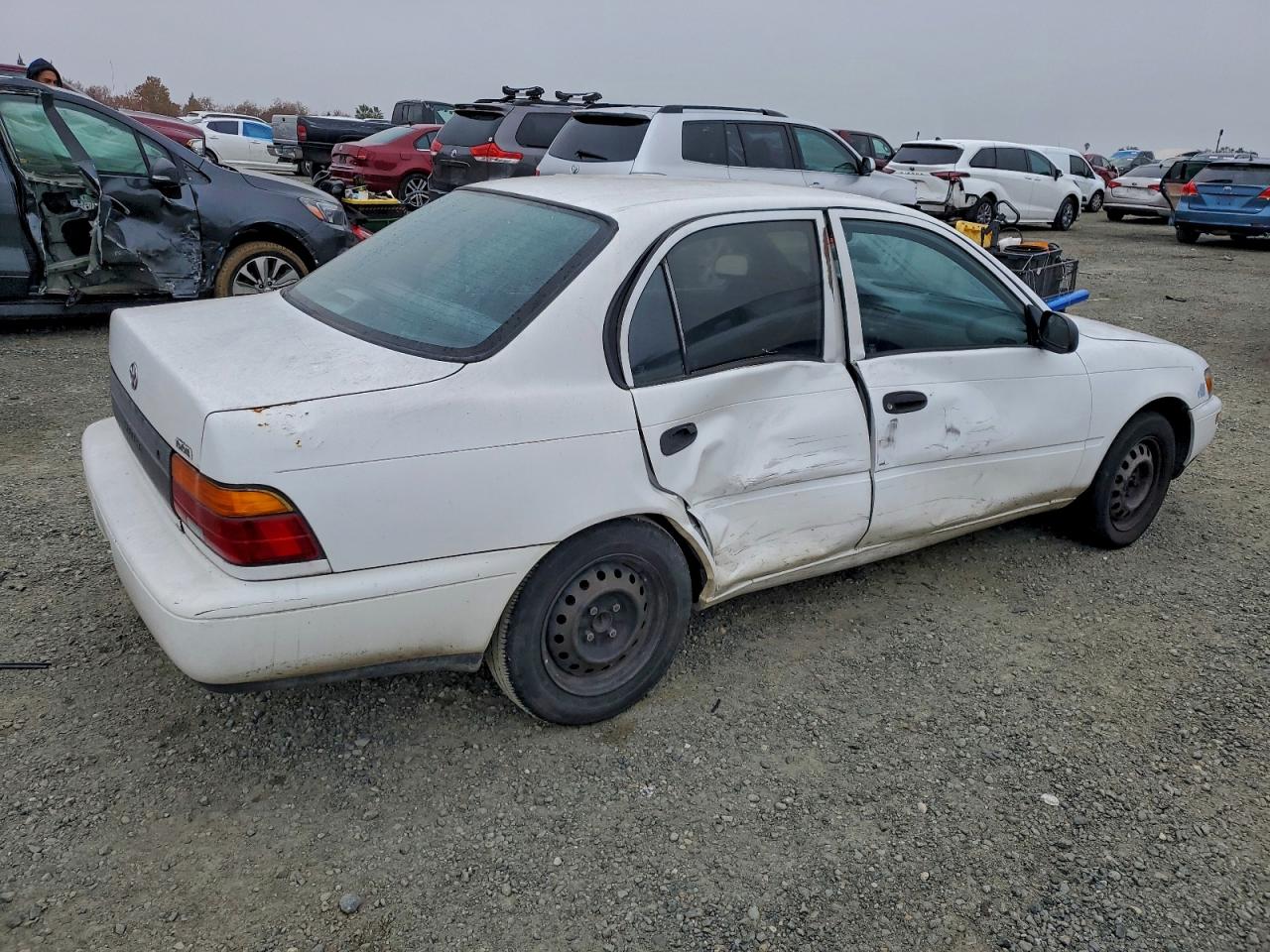 1993 Toyota Corolla Белый vin: 1NXAE04EXPZ045666