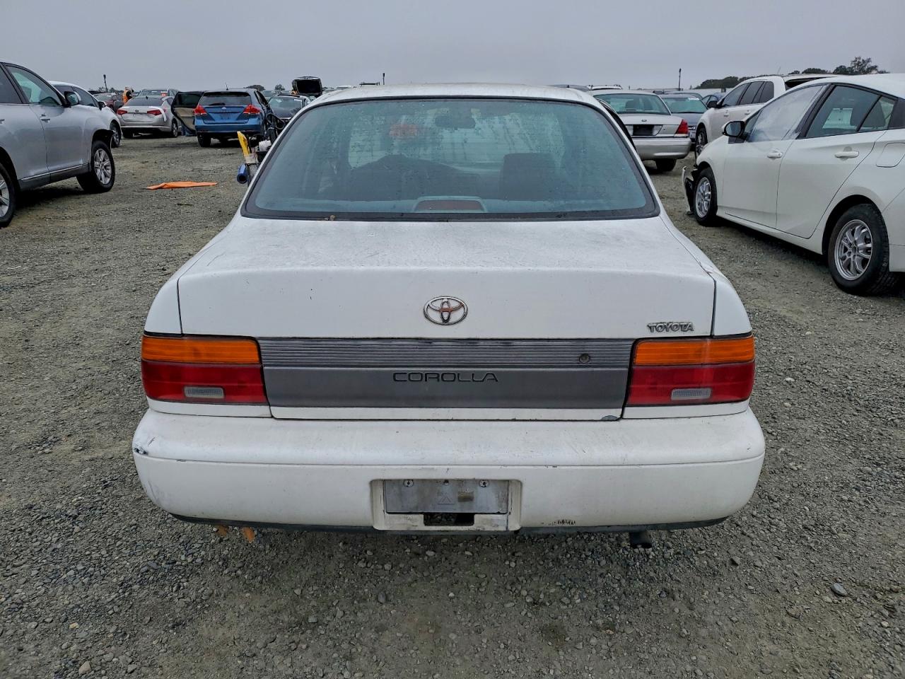 1993 Toyota Corolla Белый vin: 1NXAE04EXPZ045666