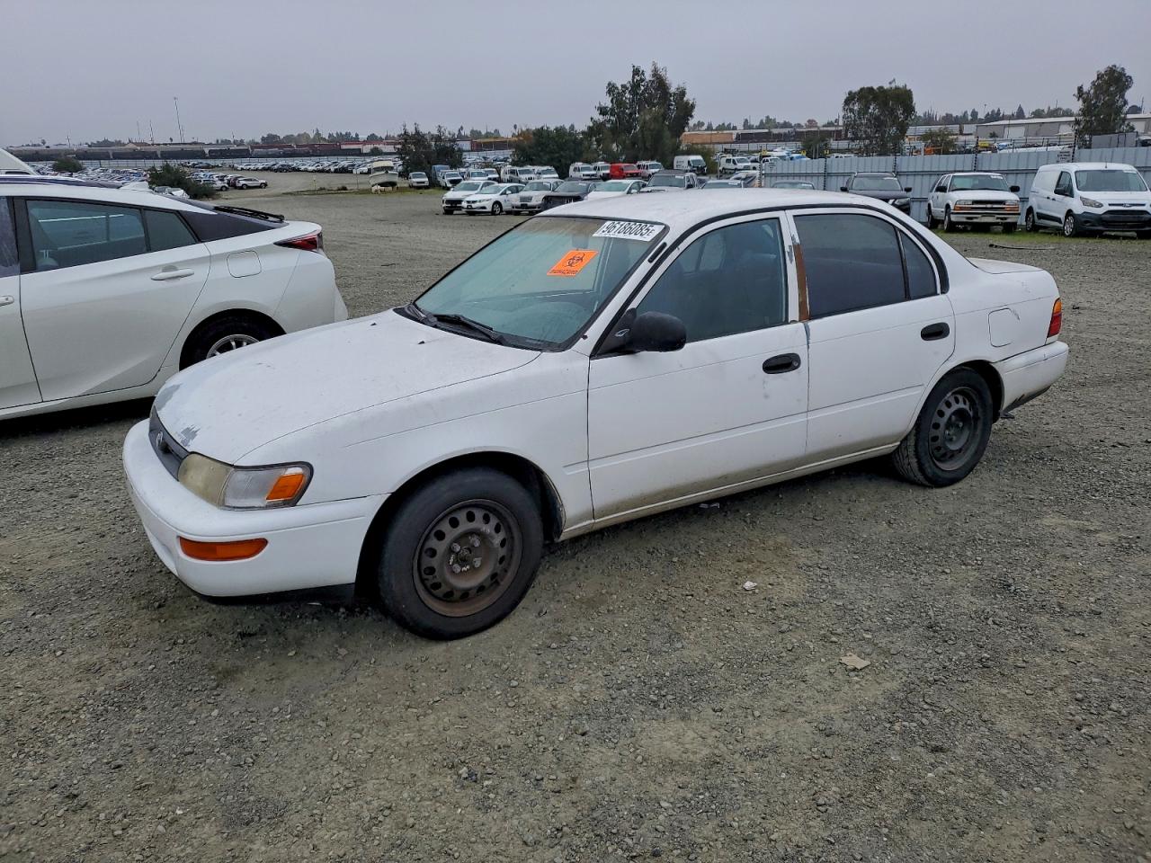 1993 Toyota Corolla Белый vin: 1NXAE04EXPZ045666