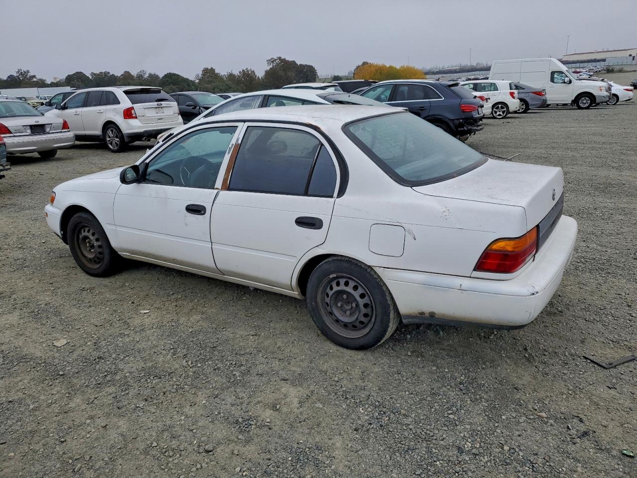 1993 Toyota Corolla Белый vin: 1NXAE04EXPZ045666
