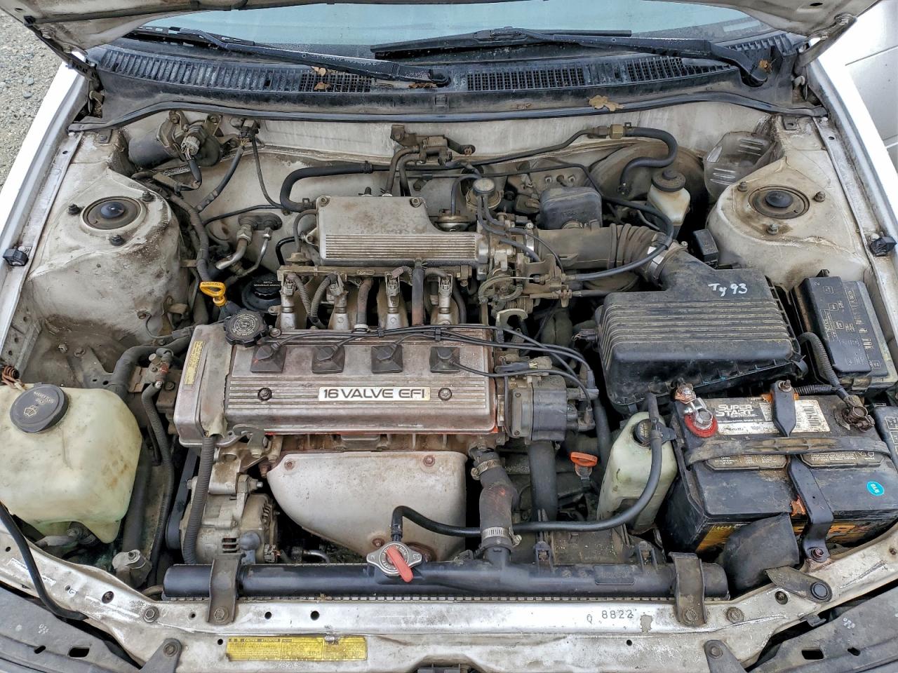1993 Toyota Corolla Белый vin: 1NXAE04EXPZ045666