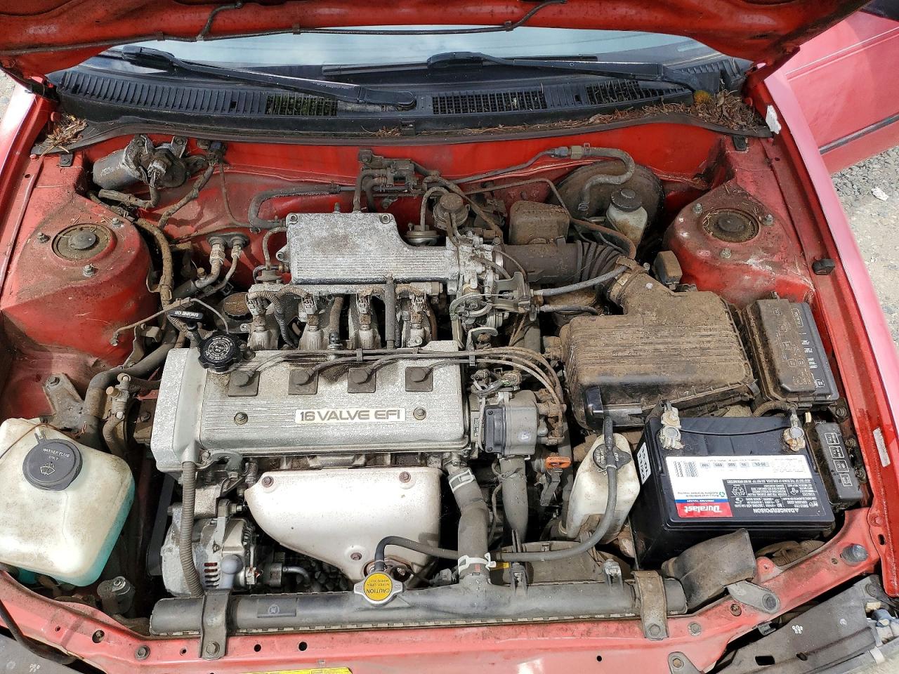 1993 Toyota Corolla Dx Red vin: 1NXAE09E7PZ055399