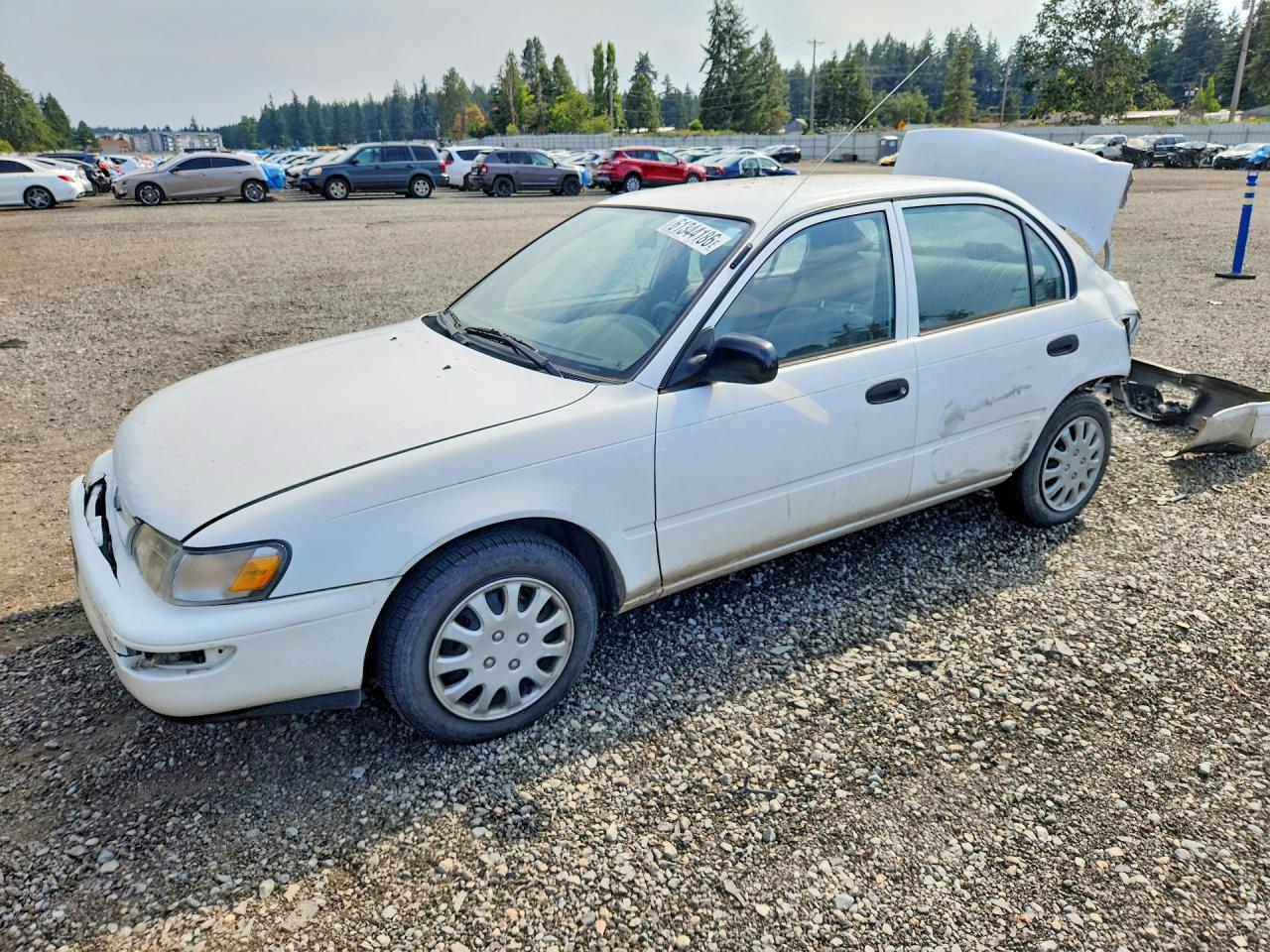 1997 Toyota Corolla Base White vin: 1NXBA02E3VZ534927