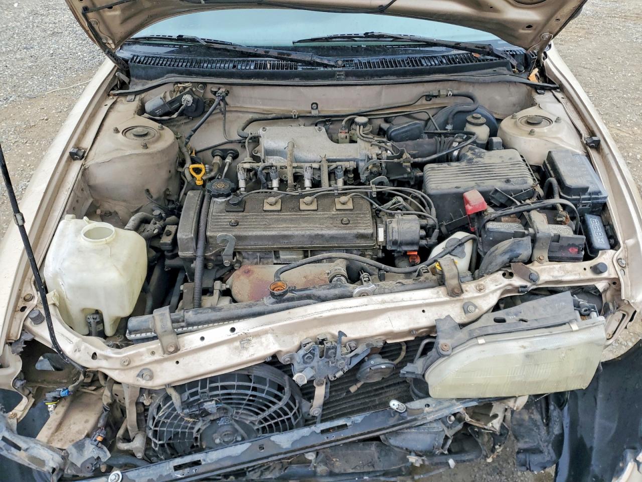 1997 Toyota Corolla Base Beige vin: 1NXBA02E4VZ647477