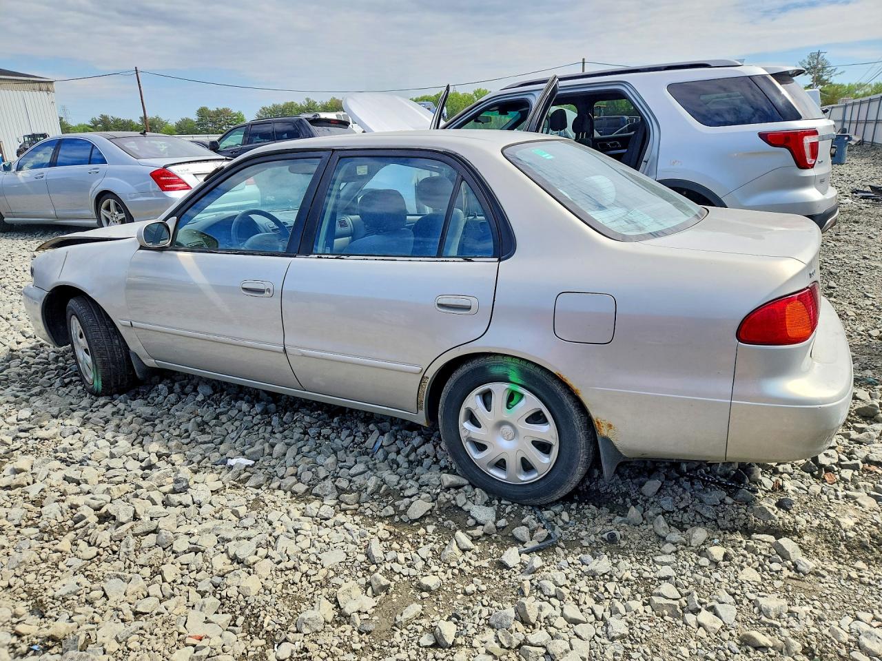 2001 Toyota Corolla Le Gray vin: 1NXBR12E01Z489941