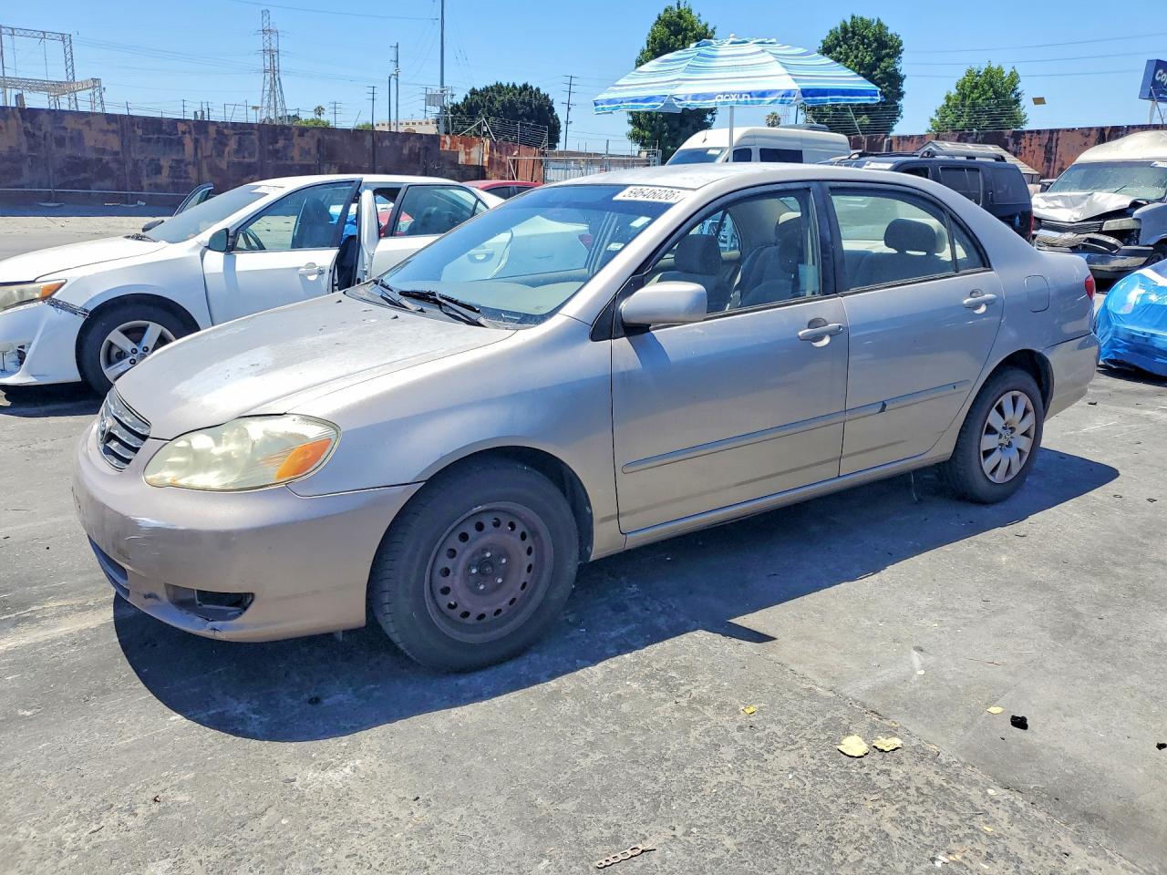 2003 Toyota Corolla Le Beige vin: 1NXBR32E53Z032170
