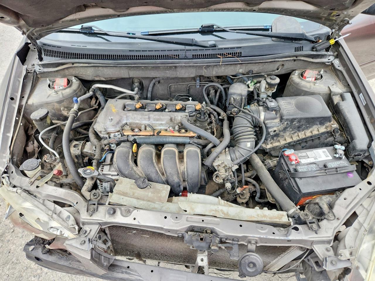 2004 Toyota Corolla S Желто-коричневый vin: 1NXBR32E54Z295003