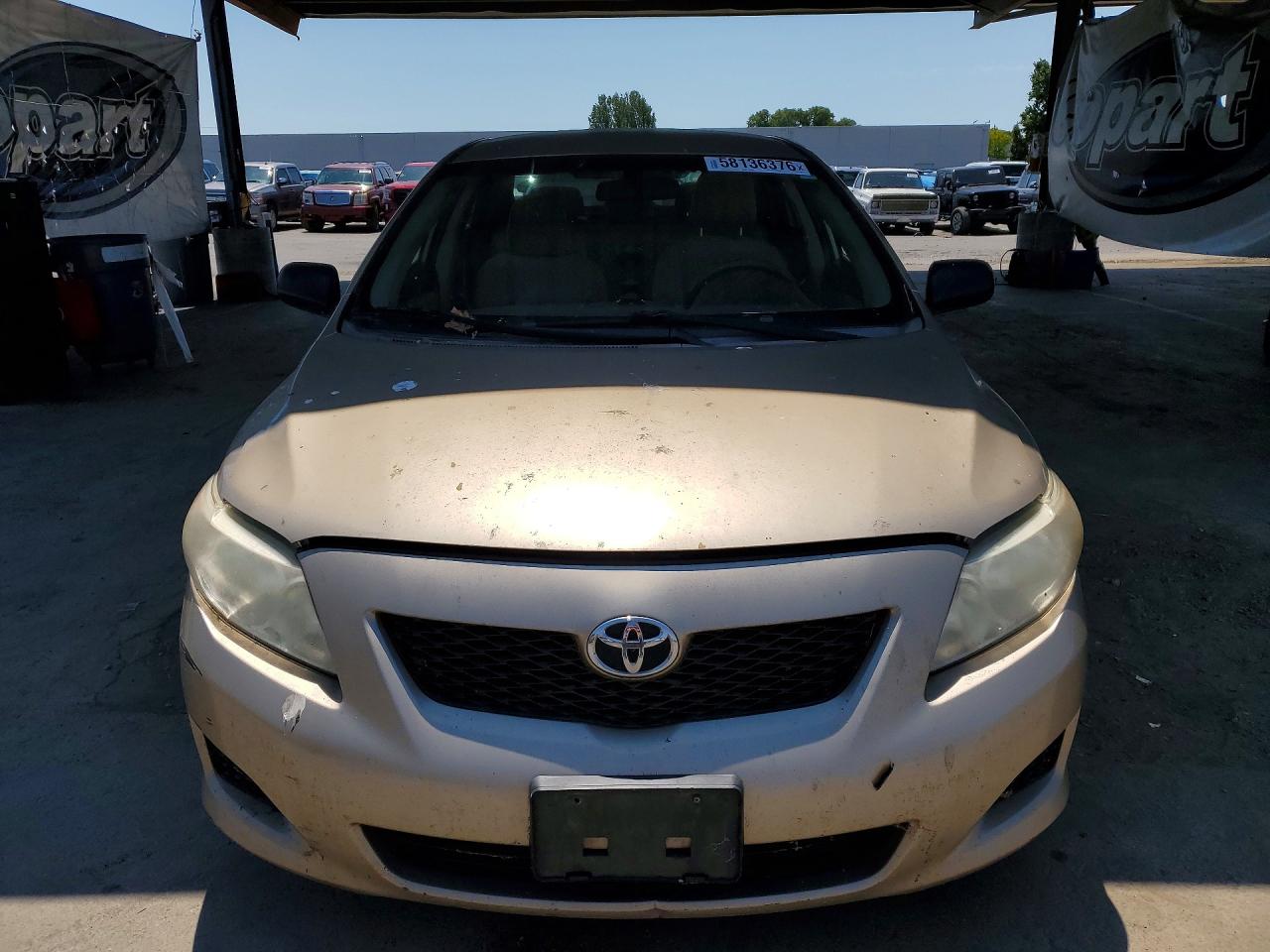 2009 Toyota Corolla Base Золотой vin: 1NXBU40E29Z105107