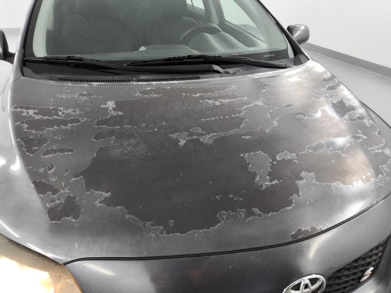 2009 Toyota Corolla S Серый vin: 1NXBU40E29Z149088 Damage: Hood, Peeling, > 12 Inches
