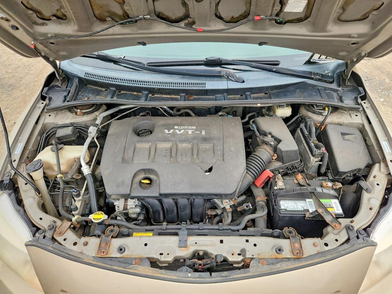 2009 Toyota Corolla Le Gold vin: 1NXBU40E79Z027164
