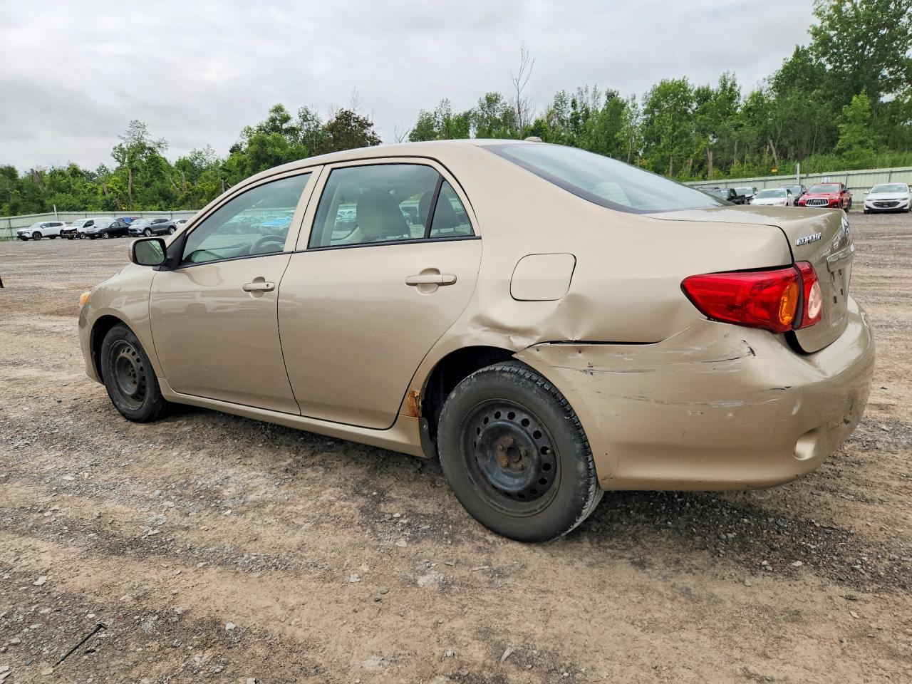 2009 Toyota Corolla Le Gold vin: 1NXBU40E79Z027164