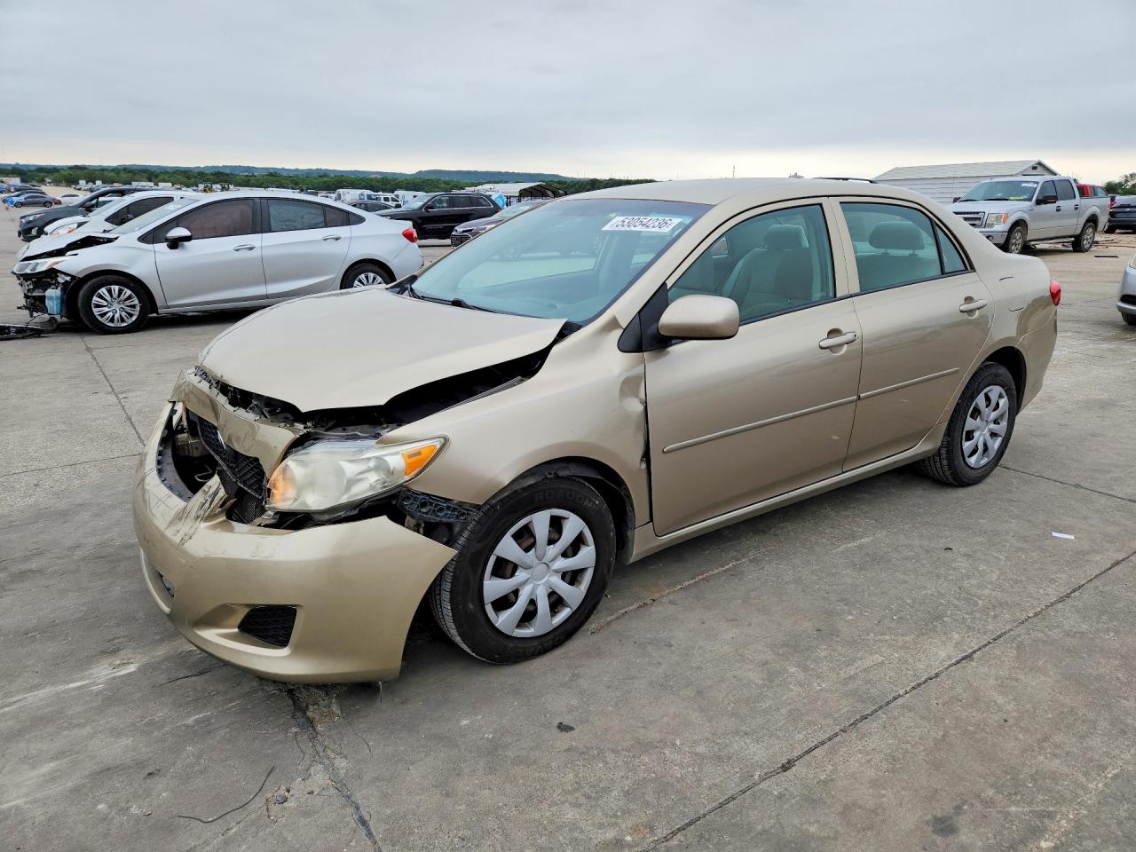 2010 Toyota Corolla Le Gold vin: 1NXBU4EE0AZ191269