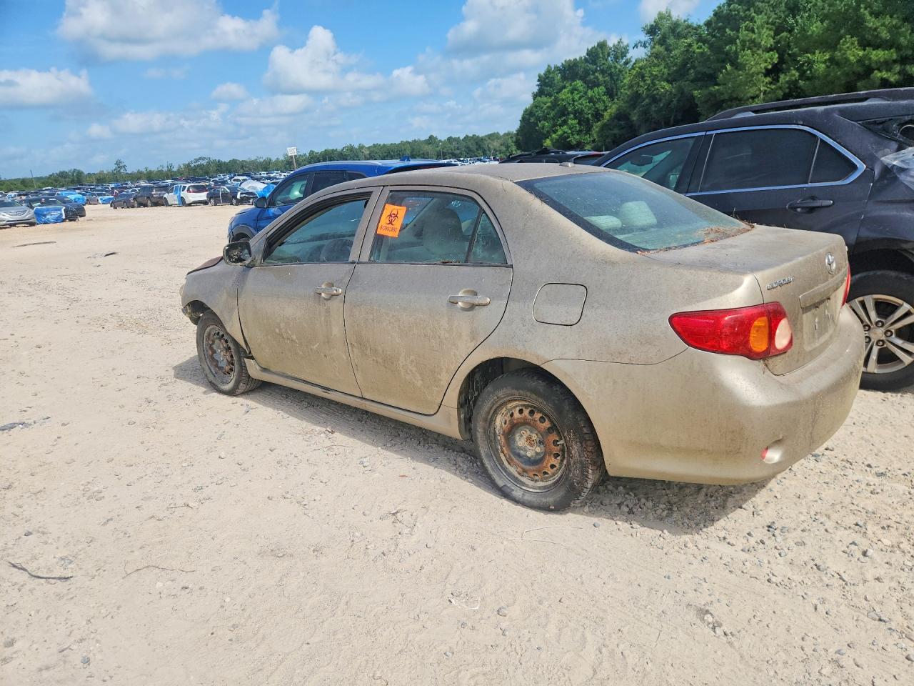 2010 Toyota Corolla Le Gold vin: 1NXBU4EE2AZ179219