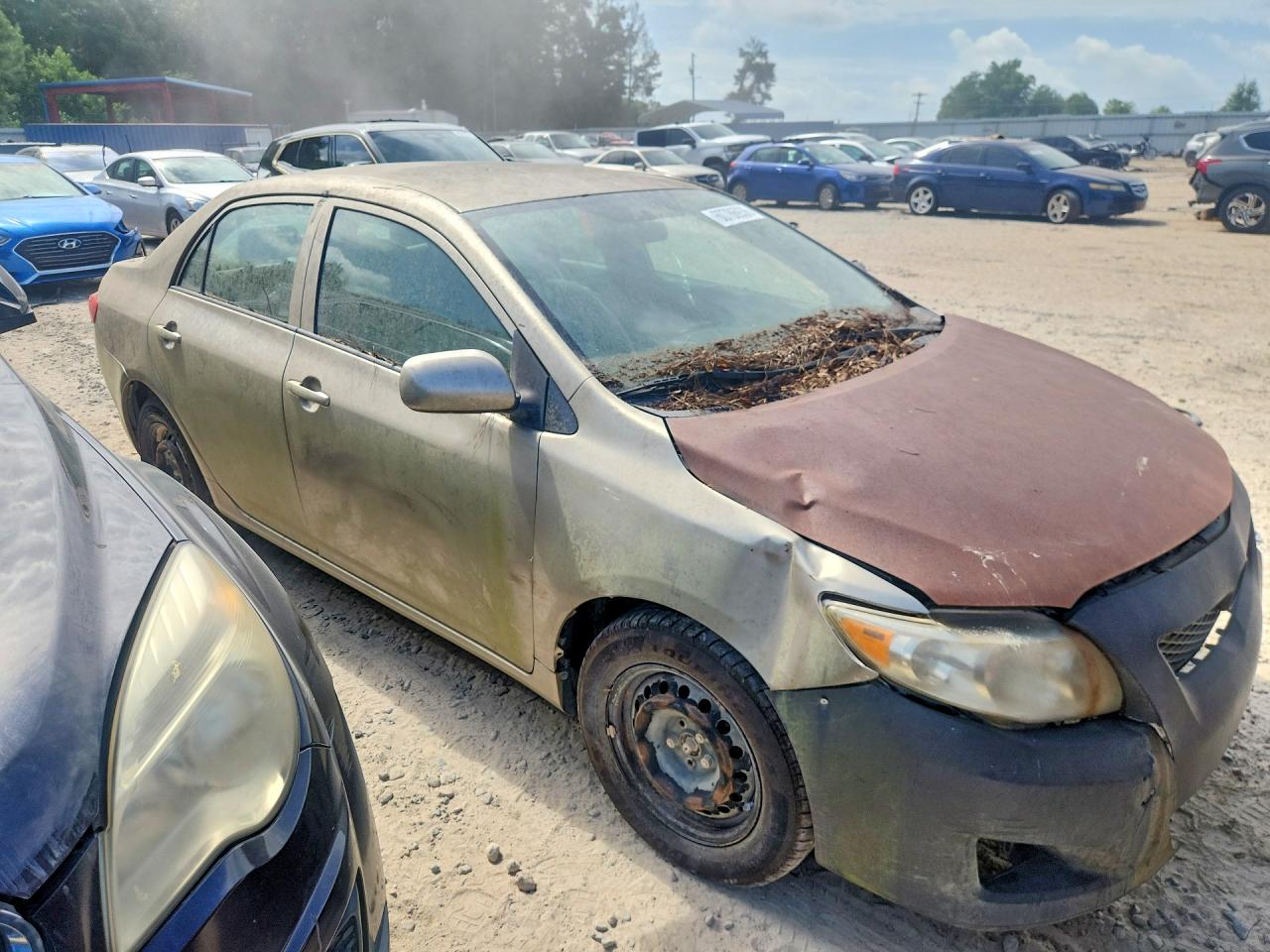 2010 Toyota Corolla Le Gold vin: 1NXBU4EE2AZ179219