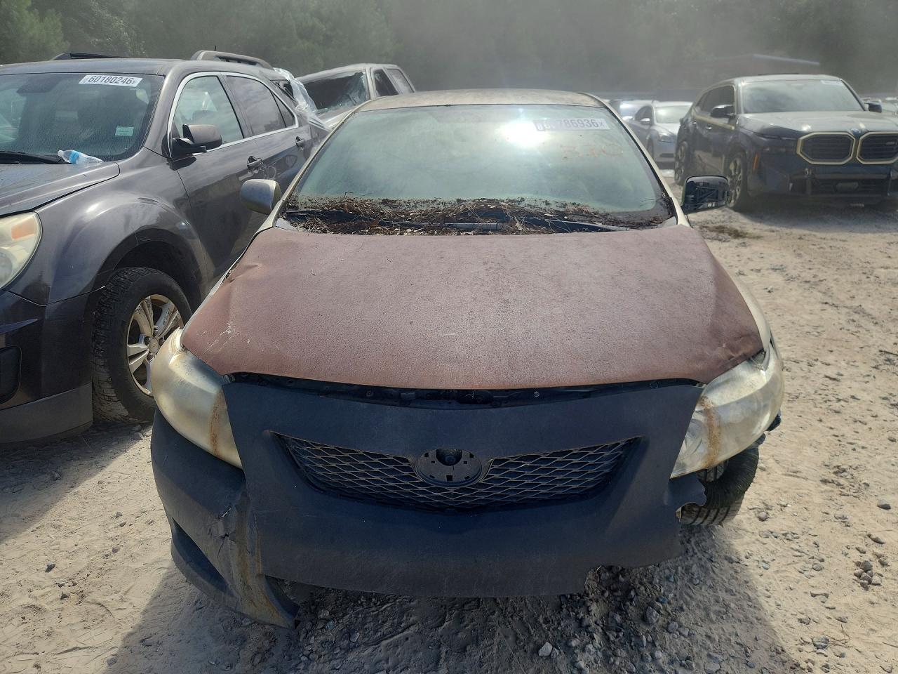 2010 Toyota Corolla Le Gold vin: 1NXBU4EE2AZ179219