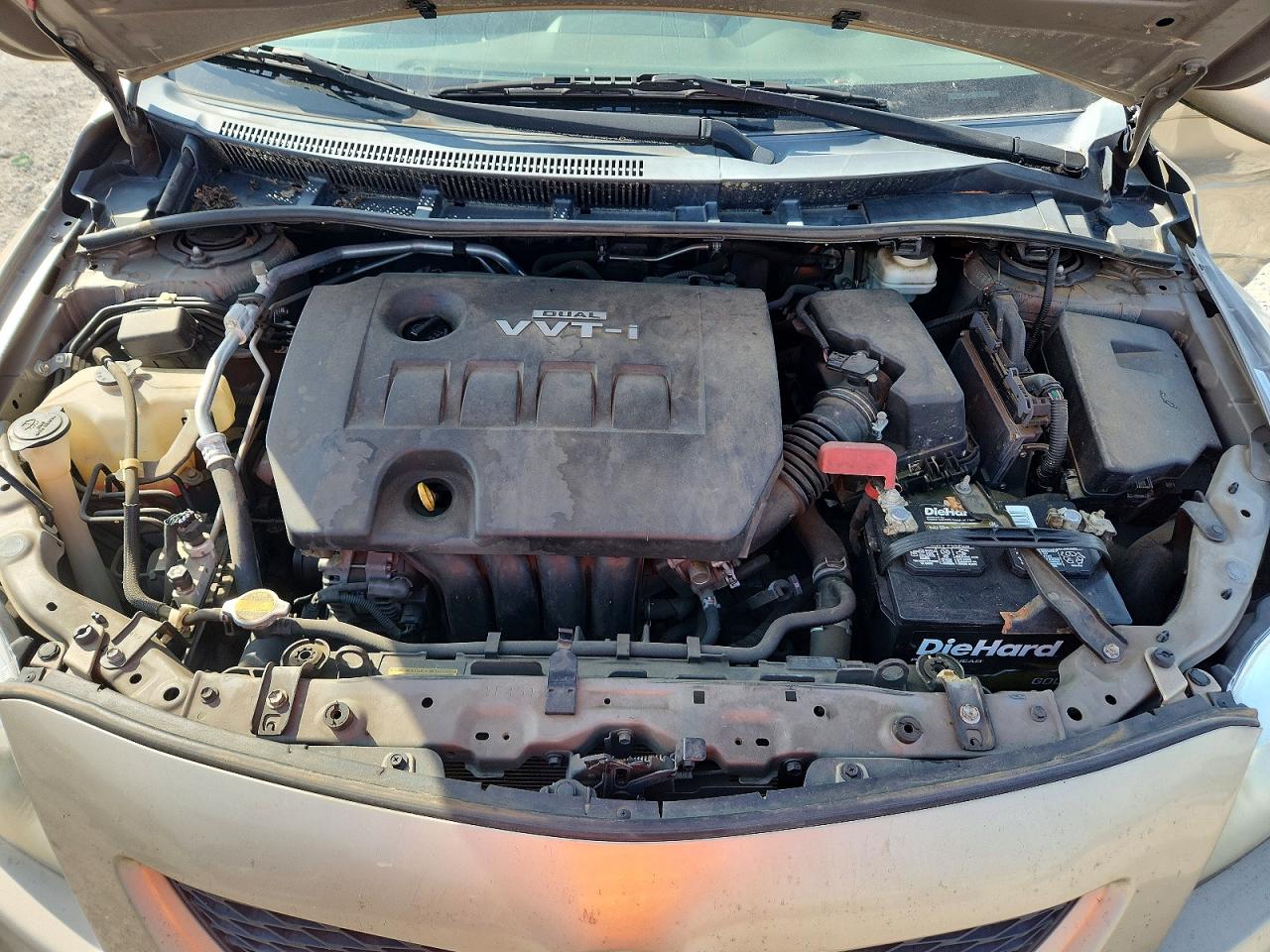 2010 Toyota Corolla Le Gold vin: 1NXBU4EE3AZ184316