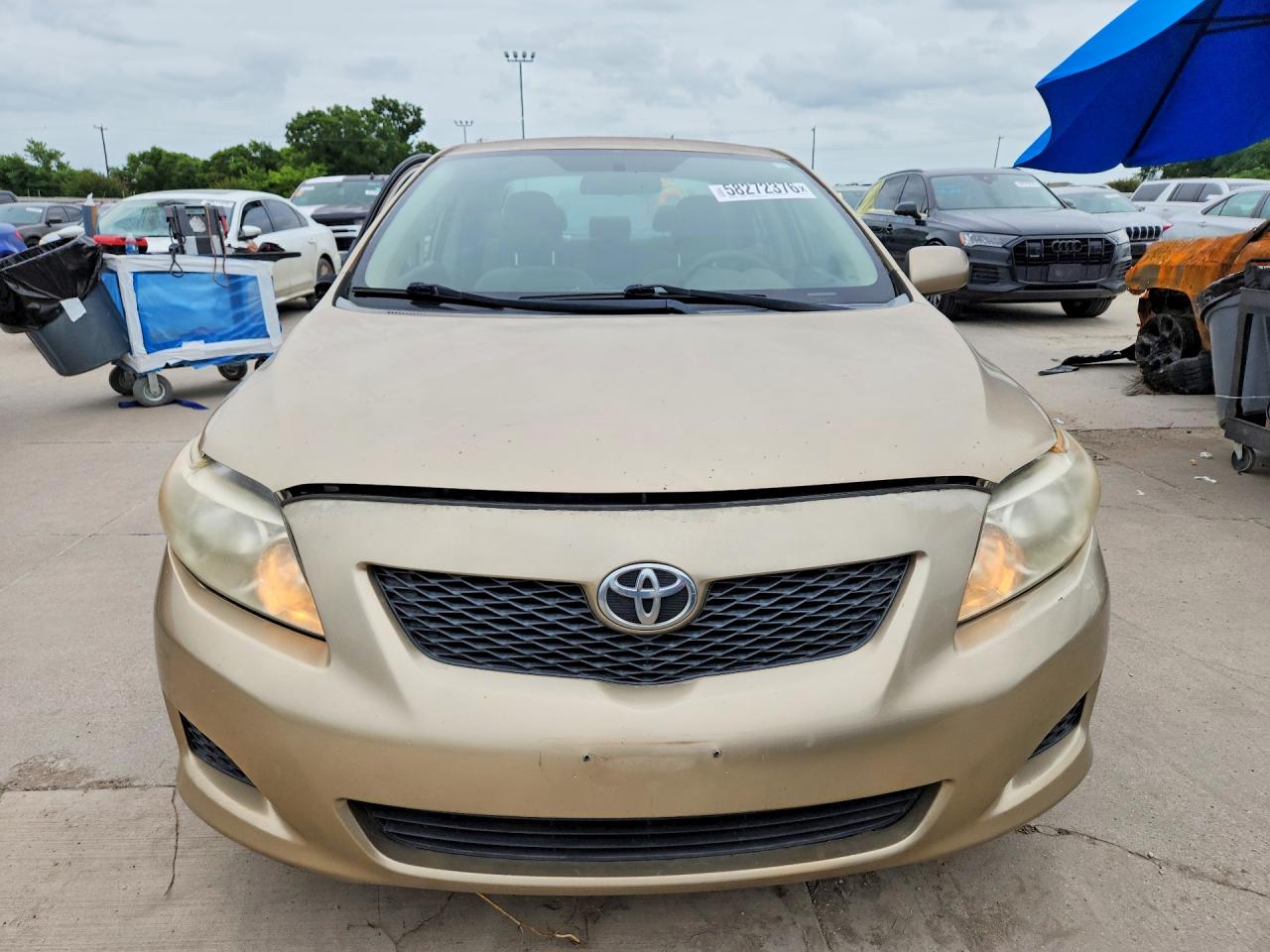 2010 Toyota Corolla Le Gold vin: 1NXBU4EE3AZ237757
