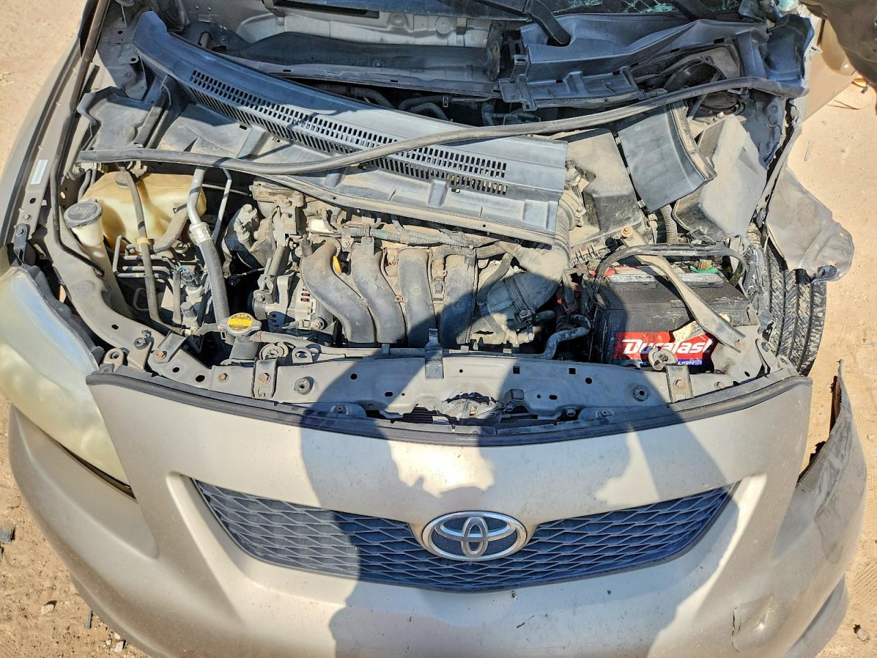 2010 Toyota Corolla Le Beige vin: 1NXBU4EE4AZ177844
